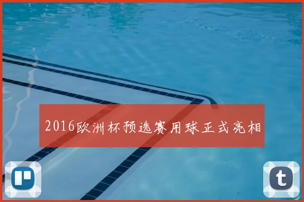 2016欧洲杯预选赛用球正式亮相